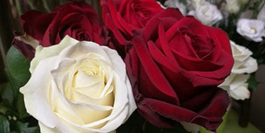 Le Nombre de Tiges dans un Bouquet de Rose
